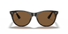 [B-15 Brown Lenses, Polished Spotted Havana Frame]