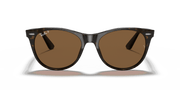 B-15 Brown Lenses, Polished Spotted Havana Frame