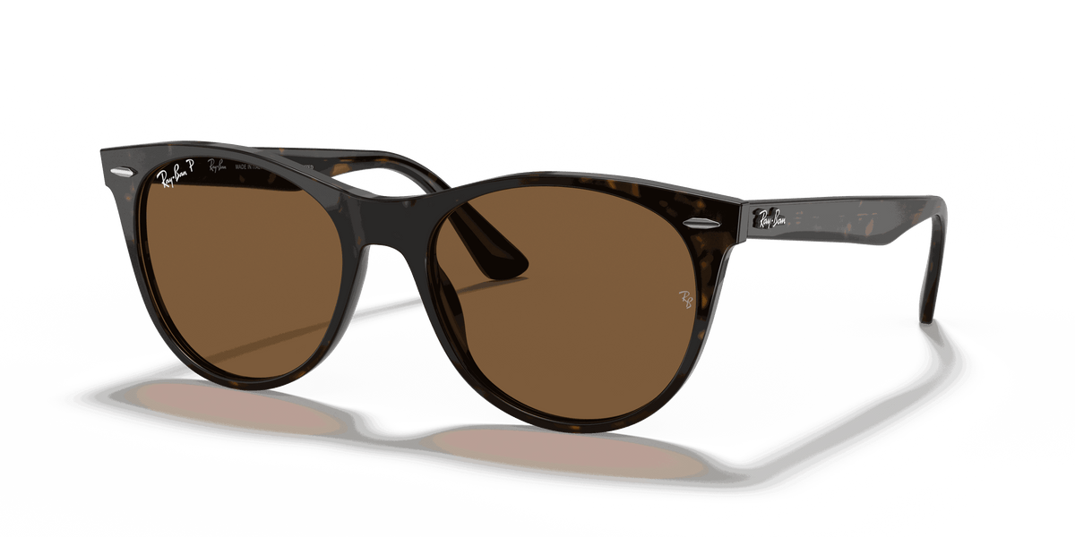 RayBan WAYFARER II CLASSIC – Specs Eyewear display picture 1