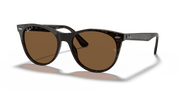 B-15 Brown Lenses, Polished Spotted Havana Frame