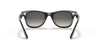 [Light Grey/Dark Grey Lenses, Polished Black Frame]