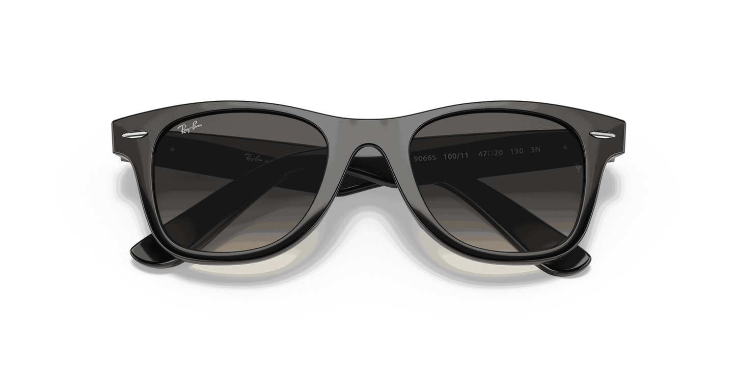 [Light Grey/Dark Grey Lenses, Polished Black Frame]
