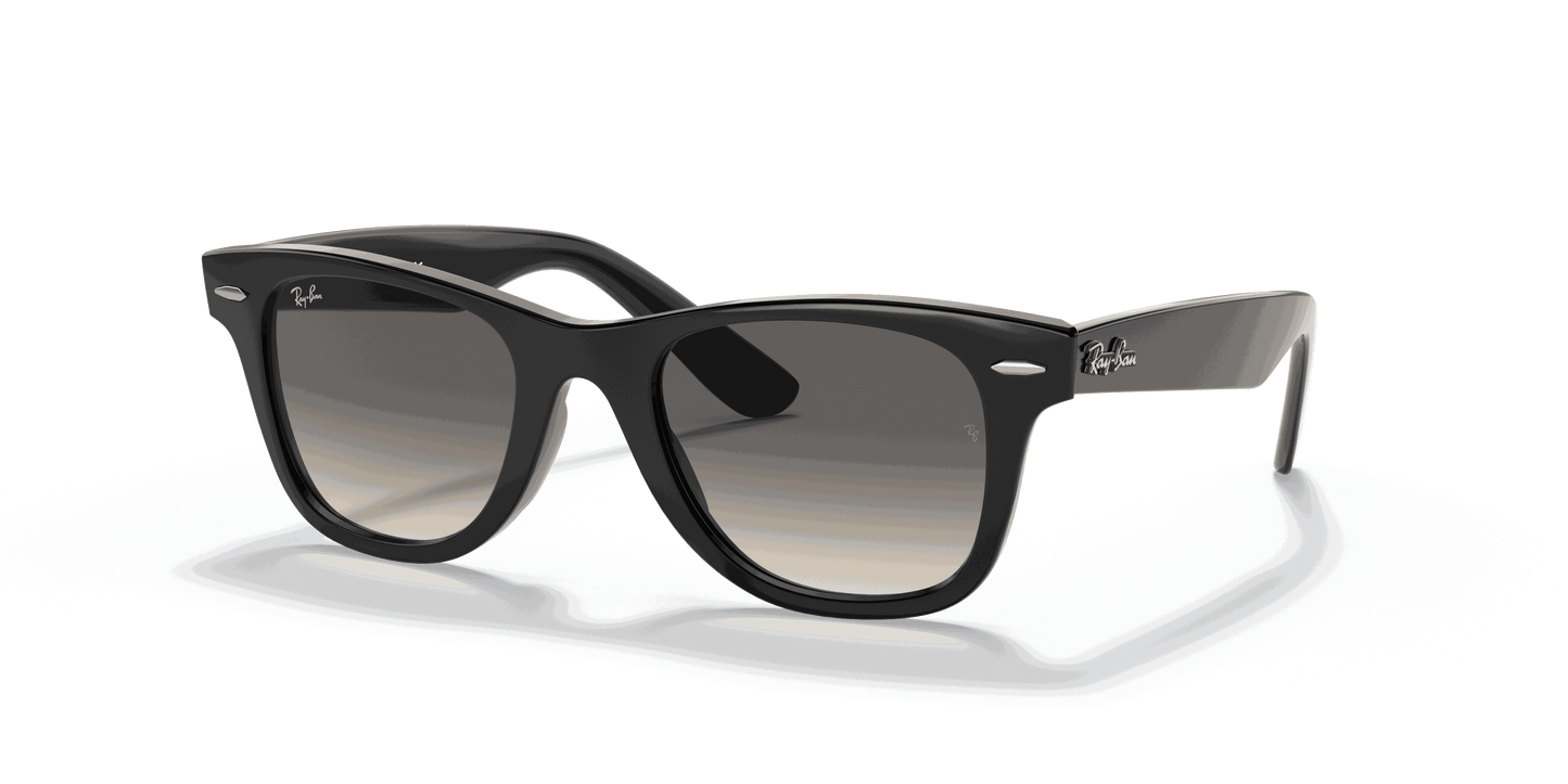[Light Grey/Dark Grey Lenses, Polished Black Frame]