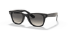 [Light Grey/Dark Grey Lenses, Polished Black Frame]