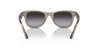 [Grey Lenses, Polished Transparent Green Frame]