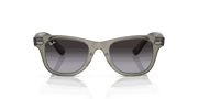 Grey Lenses, Polished Transparent Green Frame