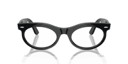 Clear Lenses, Polished Black Frame