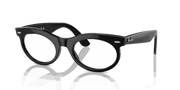 Clear Lenses, Polished Black Frame