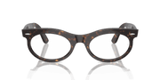 Clear Lenses, Polished Havana Frame