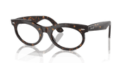 Clear Lenses, Polished Havana Frame