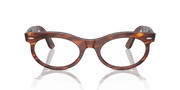 Clear Lenses, Polished Striped Havana Frame