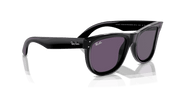 Violet Lenses, Polished Black Frame