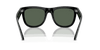 [Dark Green Lenses, Polished Black Frame]