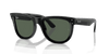 [Dark Green Lenses, Polished Black Frame]