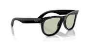 Light Green Lenses, Polished Black Frame