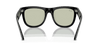 [Light Green Lenses, Polished Black Frame]