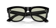 Light Green Lenses, Polished Black Frame