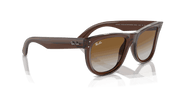 Brown Lenses, Polished Transparent Brown Frame