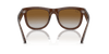 [Brown Lenses, Polished Transparent Brown Frame]