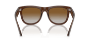 Brown Lenses, Polished Transparent Brown Frame