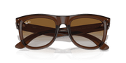 Brown Lenses, Polished Transparent Brown Frame