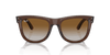 [Brown Lenses, Polished Transparent Brown Frame]