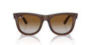 Brown Lenses, Polished Transparent Brown Frame