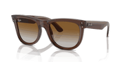 Brown Lenses, Polished Transparent Brown Frame