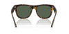 [Dark Green Lenses, Polished Dark Havana Frame]