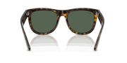 Dark Green Lenses, Polished Dark Havana Frame