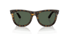 [Dark Green Lenses, Polished Dark Havana Frame]