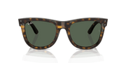 Dark Green Lenses, Polished Dark Havana Frame