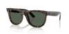 [Dark Green Lenses, Polished Dark Havana Frame]