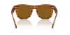 [Polar Dark Brown Lenses, Polished Striped Havana Frame]