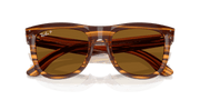 Polar Dark Brown Lenses, Polished Striped Havana Frame