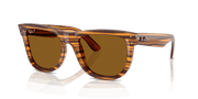 Polar Dark Brown Lenses, Polished Striped Havana Frame