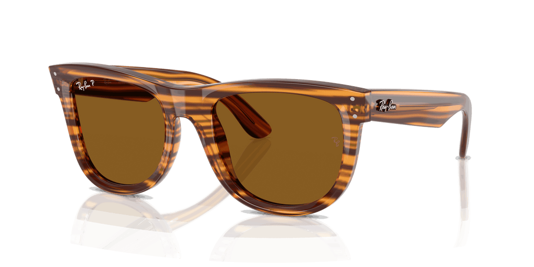 [Polar Dark Brown Lenses, Polished Striped Havana Frame]