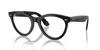 [Clear Lenses, Polished Black Frame]