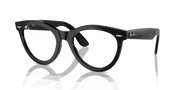 Clear Lenses, Polished Black Frame