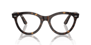 Clear Lenses, Polished Havana Frame