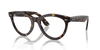 [Clear Lenses, Polished Havana Frame]