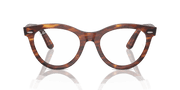 Clear Lenses, Polished Striped Havana Frame