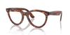 [Clear Lenses, Polished Striped Havana Frame]