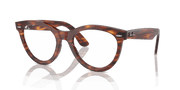 Clear Lenses, Polished Striped Havana Frame