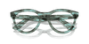 [Clear Lenses, Polished Striped Transparent Green Frame]