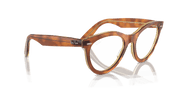 Clear Lenses, Polished Havana On Transparent Brown Frame