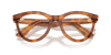 [Clear Lenses, Polished Havana On Transparent Brown Frame]