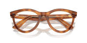 Clear Lenses, Polished Havana On Transparent Brown Frame