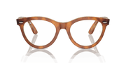 Clear Lenses, Polished Havana On Transparent Brown Frame