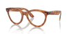 [Clear Lenses, Polished Havana On Transparent Brown Frame]